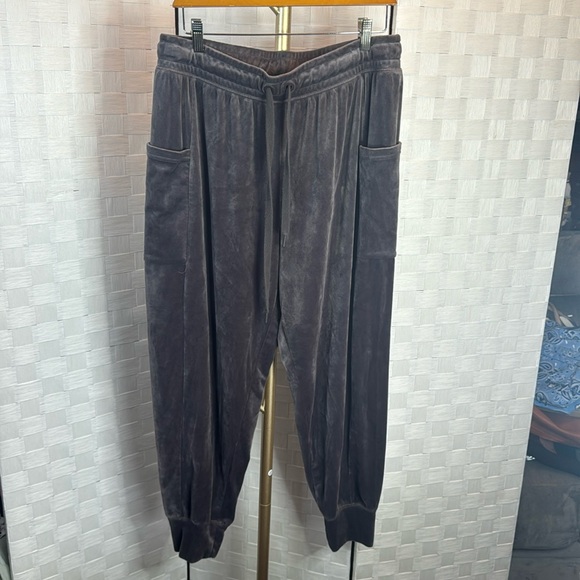 Offline By Aerie Velour Joggers - Picture 3 of 7